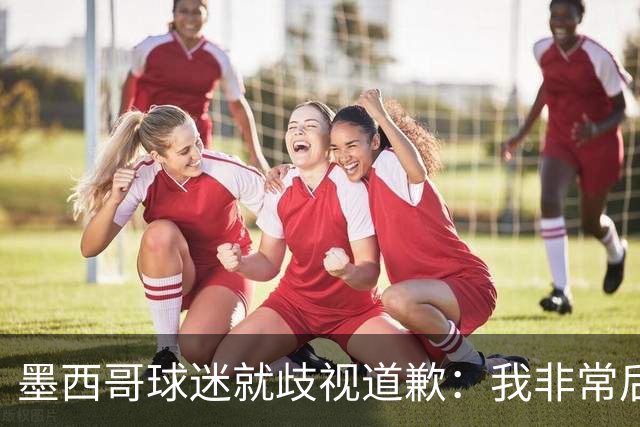 墨西哥球迷就歧视道歉：我非常后悔，已辞去工程师协会职务